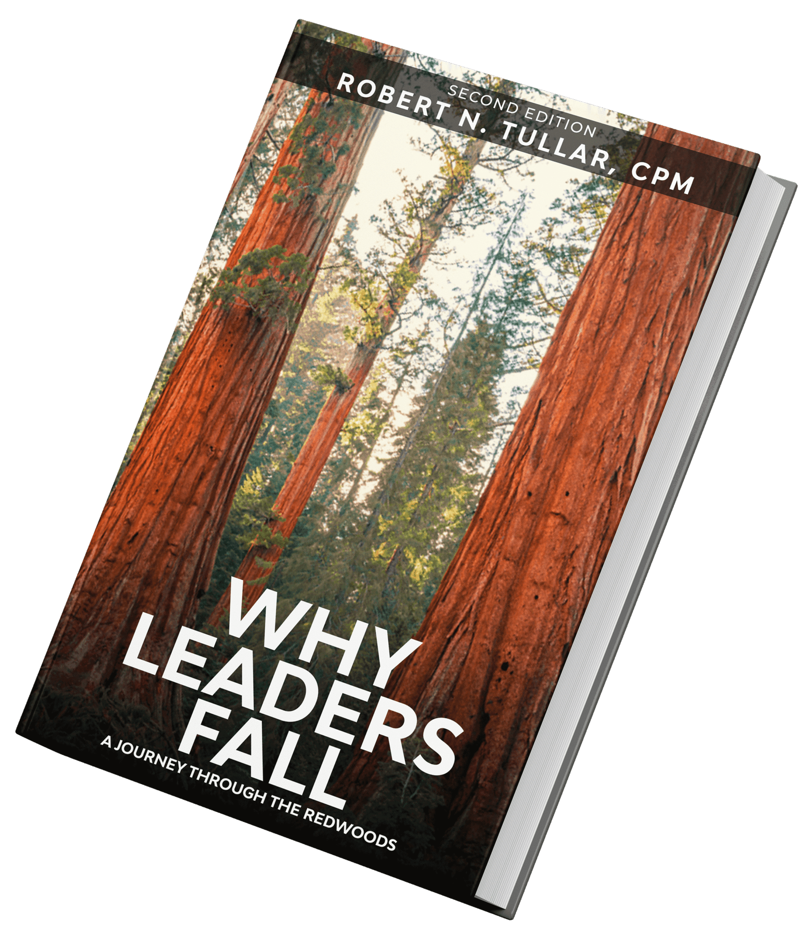 Why Leader Fall